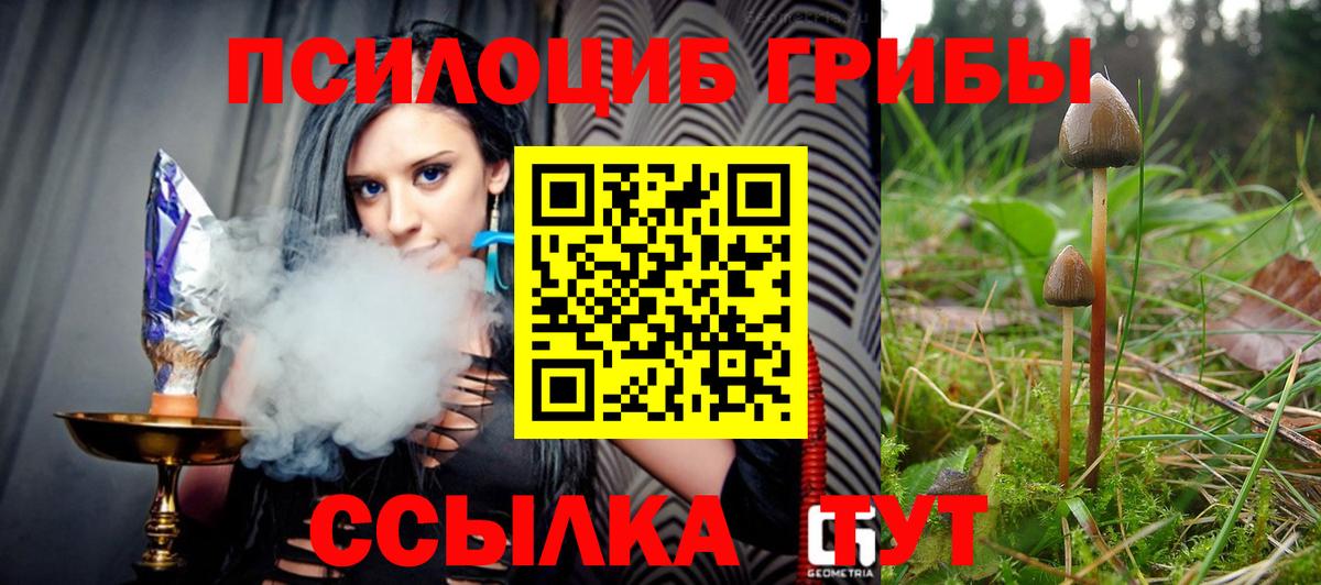 Галлюциногенные грибы Magic Shrooms Курган