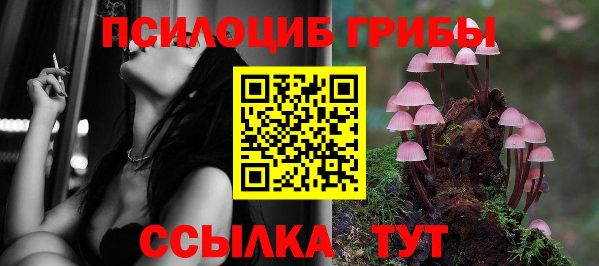 Курган  Псилоцибиновые грибы Psilocybe  Вход с VPN  Галлюциногенные грибы прущие грибы 